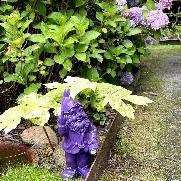 Daylight White Havenisse - Solar - Violet