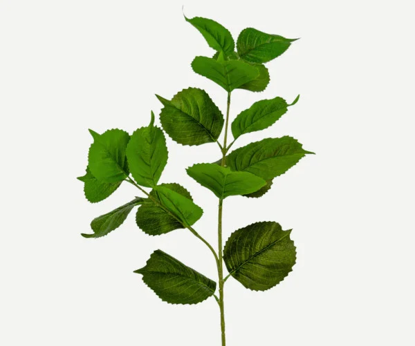 Ergonomic Design Botané Hydrangea blade