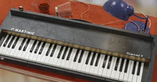 Pianet T Storage Case
