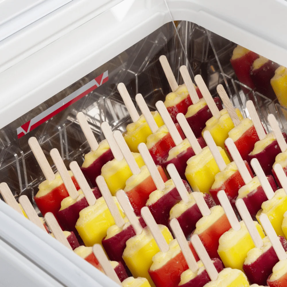 Holder til ispinde i Tefcold ICE3