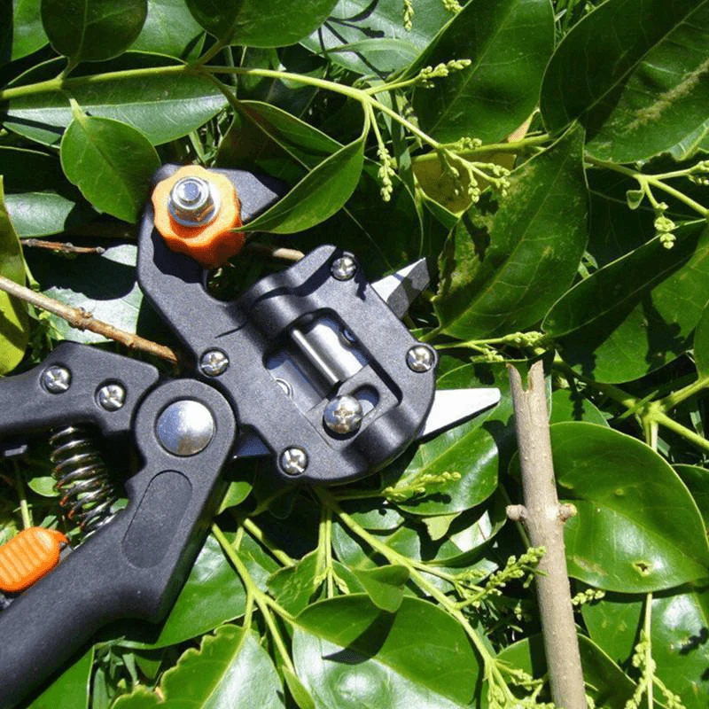 Professionelt værktøjssæt til podning i haven