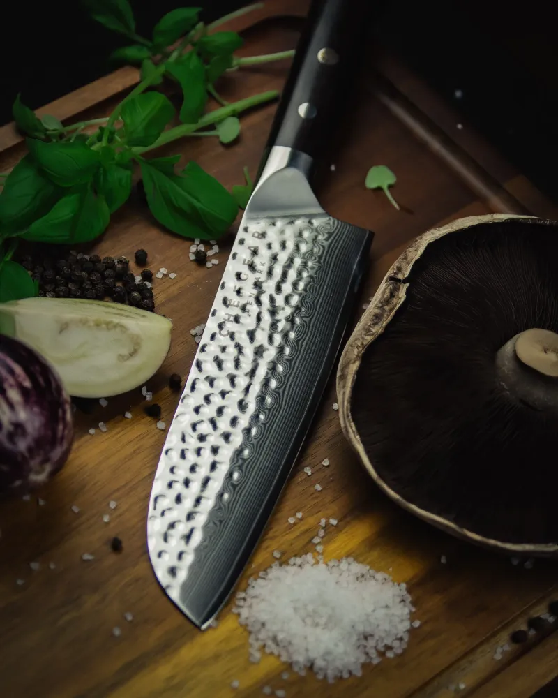 SANTOKU · 18 CM